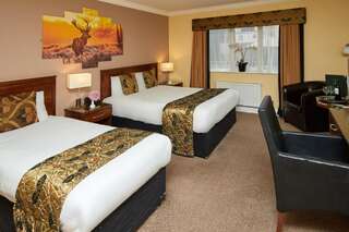 Отель Eviston House Hotel Килларни Номер Делюкс с кроватью размера «king-size» или 2 отдельными кроватями-1